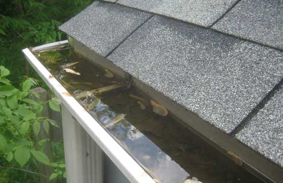 Residential and commercial Roofs and Gutters